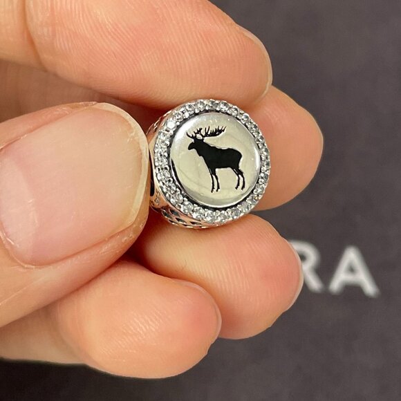 Pandora Banff Exclusive Charm - Picture 1 of 4